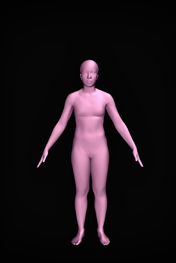 Reconocimiento de las proporciones reales de mi cuerpo, 2020. Políptico. Captura de pantalla del sitio https://bodyvisualizer.com