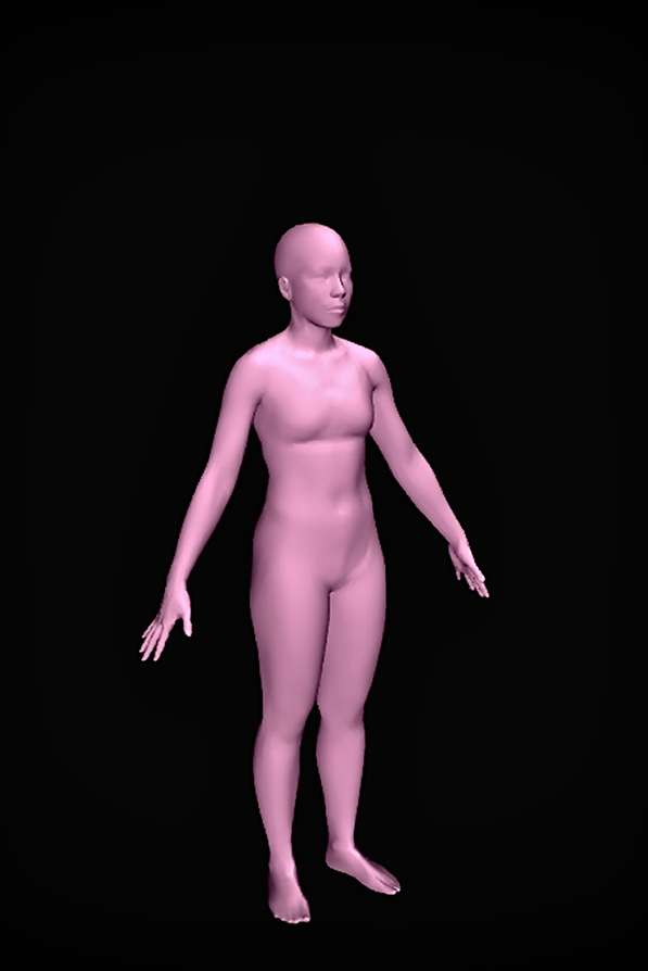 Reconocimiento de las proporciones reales de mi cuerpo, 2020. Políptico. Captura de pantalla del sitio https://bodyvisualizer.com